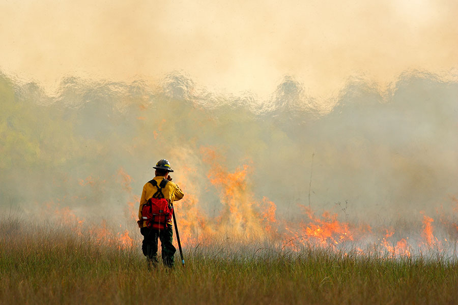 wildfire insurance denver