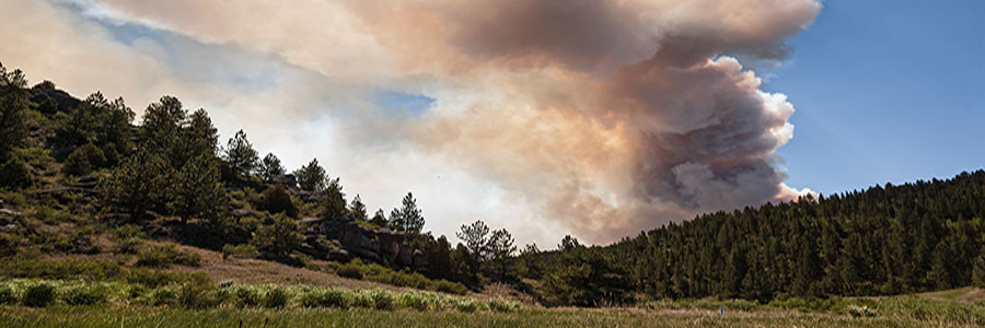 wildfire insurance in Dillon, CO 